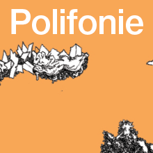 Grafika promocyjna, napis polifonie na pomarańczowym tle