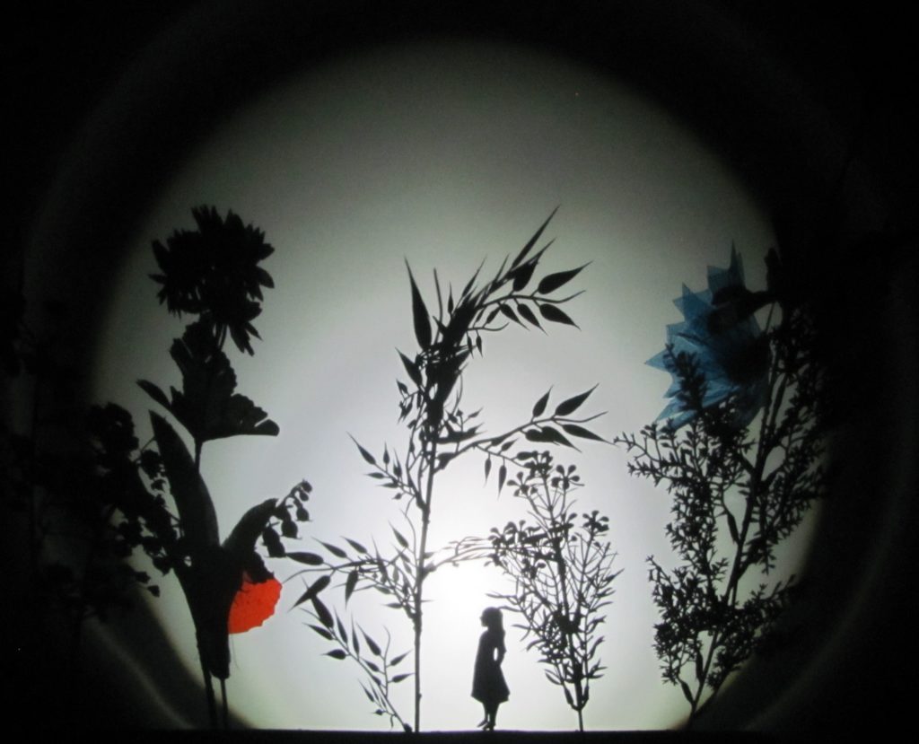 Na zdjęciu: cień postaci dziewczynki wśród roślin