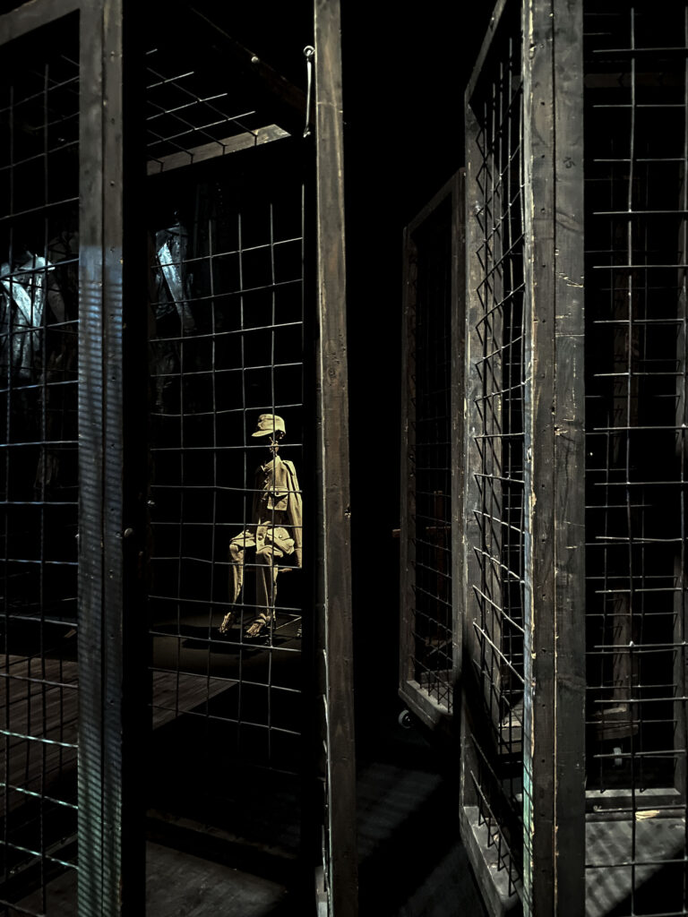 Tadeusz Kantor. Widma / Spectres - Crickoteka