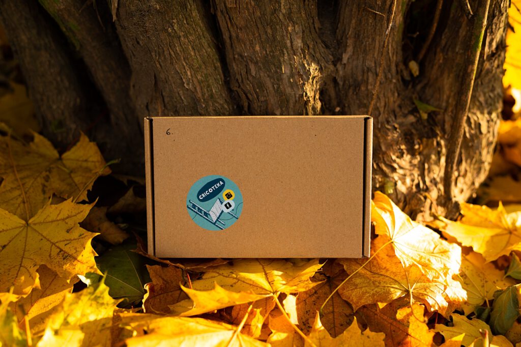 Kartonowe pudełko stoi oparte o drzewo pośród jesiennych liści. Na opakowaniu naklejka z napisem Cricoteka i rysunkiem krzesła.
