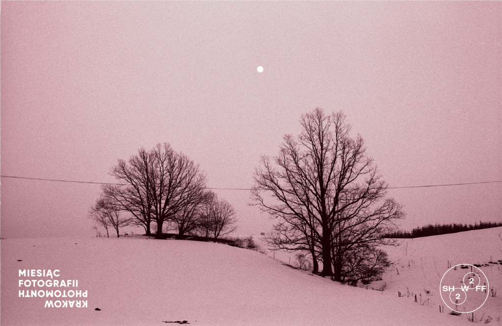 Fioletowe zdjęcie. Dwa ciemne pozbawione liści drzewa stoją pośród pagórków pokrytych śniegiem. Na linii horyzontu widać las.