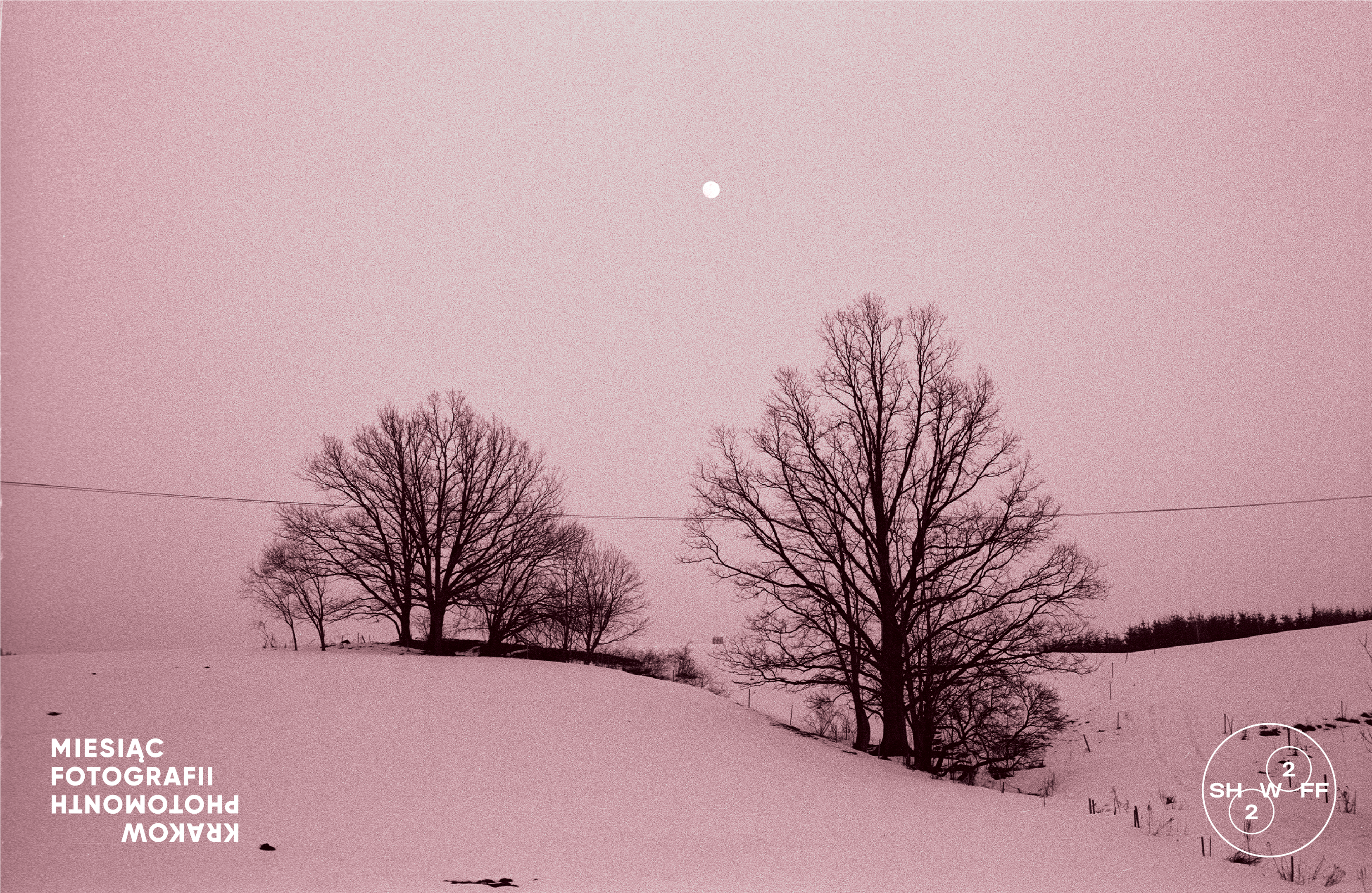 Polana w zimie. Wszystko pokryte śniegiem. Dwa drzewa pozbawione liści. Zdjęcie w odcieniach różowych. W prawym dolnym rogu biały napis: miesiąc fotografii.
