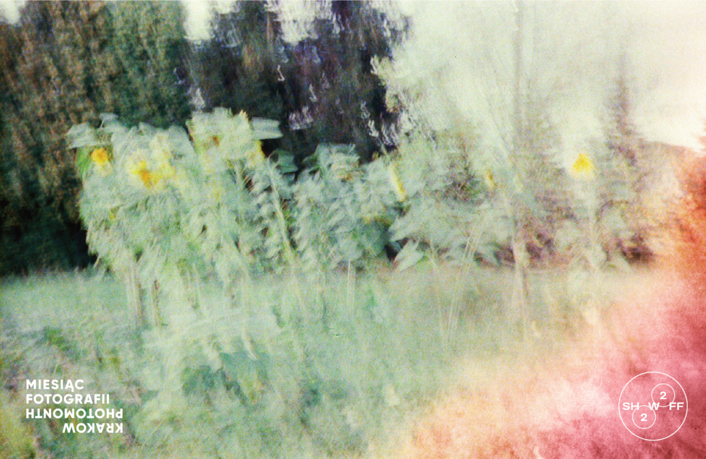 Colorfull photo of sunflowers. The image is blured and somewhat distorted